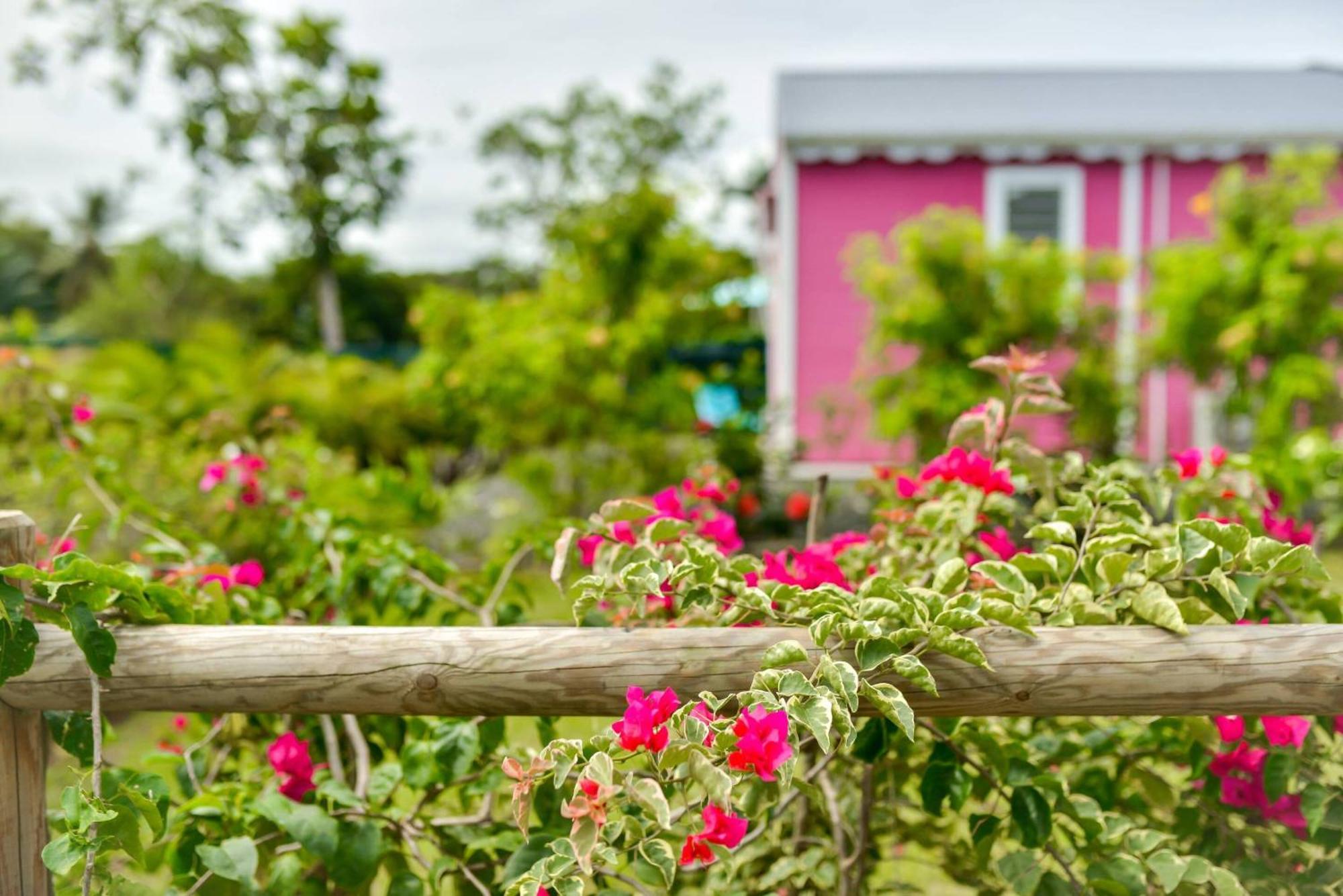 Les Jardins De Chantilly -Bungalows 4 Etoiles Avec Jardins Et Piscines Privees Baie-Mahault Pokoj fotografie